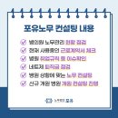 포유노사컨설팅