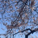 인정국물떡복이 | 250505::봄 시작🌸 활기가 생기는 요즘💪