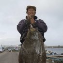 괴정4동-10 이미지