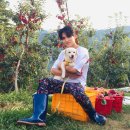 굿모닝퍼피 이미지