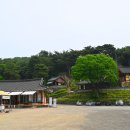 의두암 네이버블로그