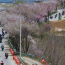 설악기획 이미지