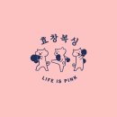 효창복싱 이미지