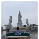 금신당 네이버블로그