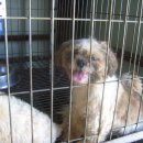 용천모텔 이미지