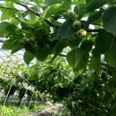 성림농장 이미지