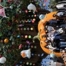 의흥초교석산분교 이미지