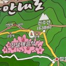 의창구 ⓔ-35 | 경남/창원 ] 진달래 참꽃이 예쁘게 만개한 ‘천주산’ 등산 후기 주차 꿀팁 소요시간 등산로 추천 개화정도