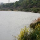 성암동패총 이미지