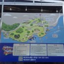 예당호출렁다리 모노레일 솔직후기! 은근히 스릴 넘치는 숲속 열차 (요금/시간표 꿀팁)