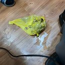 비로소433 | 마포구하수구막힘 해결 후기, 전문가가 알려주는 배관 관리 꿀팁