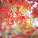 우리동네여행사