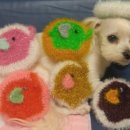 엘레펀트 이미지