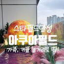 서안성푸드뱅크 | [안성] 아이와 함께, 놀거리 많은 찜질방! 할인특가! 안성 스타필드 아쿠아필드, 카페드아쿠아 수족관...