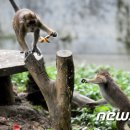 형은농장 이미지