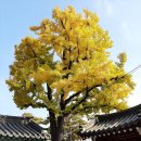 광주향교 이미지