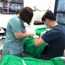 평택본플란트치과의원 이미지