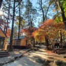 월출산국립공원 천황사야영장 이미지