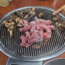 엄마손산곰장어