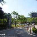 역곡배드민턴장 | 부천/역곡 강아지와 산책하기 좋은곳_가톨릭대 근처 역곡공원