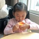 큐티펫 이미지