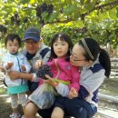 영신농장 이미지