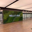 제주공항렌트카 이미지