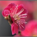 원동농장 이미지