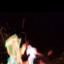 송가네 오가리캠핑장 이미지