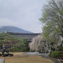 아자방 | [청도 각북면 한옥 카페] 우당탕탕 대구 근교 청도 각북면 대형 야장 테라스 연못 카페 찻집 맛집❤️(아자방)