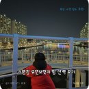 수영강 | 부산 야경 명소 추천! 수영강 휴먼브릿지 밤 산책 후기