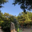 모야의숲 캠핑장 이미지