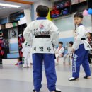 경희대선호태권도 네이버블로그