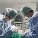 애니멀즈동물병원 이미지