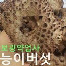 보광약업사 이미지