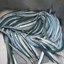 노대조은낚시터 이미지