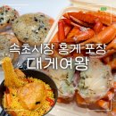 여왕 | 속초시장 대게여왕 내돈내산 홍게 포장 후기