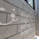 엔젤인독스 이미지