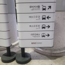 솔동산로11번길 | 서귀포) 스쿠버인제주 오픈워터+어드벤스 자격증 취득 후기