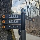 삼백로 | (충북 보은군) 백두대간 속리산 등정 후기 속리산 휴양센터