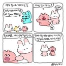 평화체육관(Pyeonghwa gym) | 치앙마이4