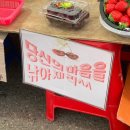 둔산 스테이어반 | 03.18~03.24 / 마음을 낚아체리