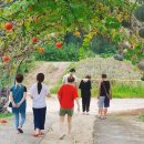 둔내농장 이미지