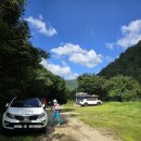 낙동정맥트레일(3코스-심미골단풍길) 이미지