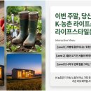 루럴팜