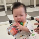 남매과일 - 이천시 경충대로2092번길 31 | 애둘맘 아기퓨레pick, 이른둥이 남매 건강한 간식 아넬라 과일퓨레 정착후기!