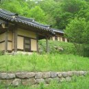 백운로(도산면) 이미지