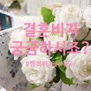 이재두행정사사무소 이미지