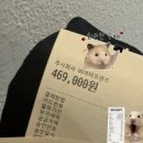 스테프라인업 | [팝업스토어]20251019 오아시스 팬스토어 (을지로) 라인업/물품목록, 후기