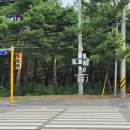 오성학교 삼거리 이미지